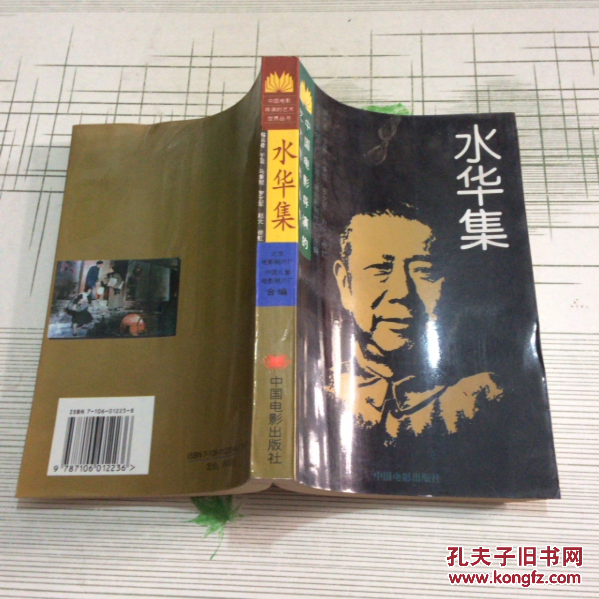 水华集——中国电影导演的艺术世界丛书