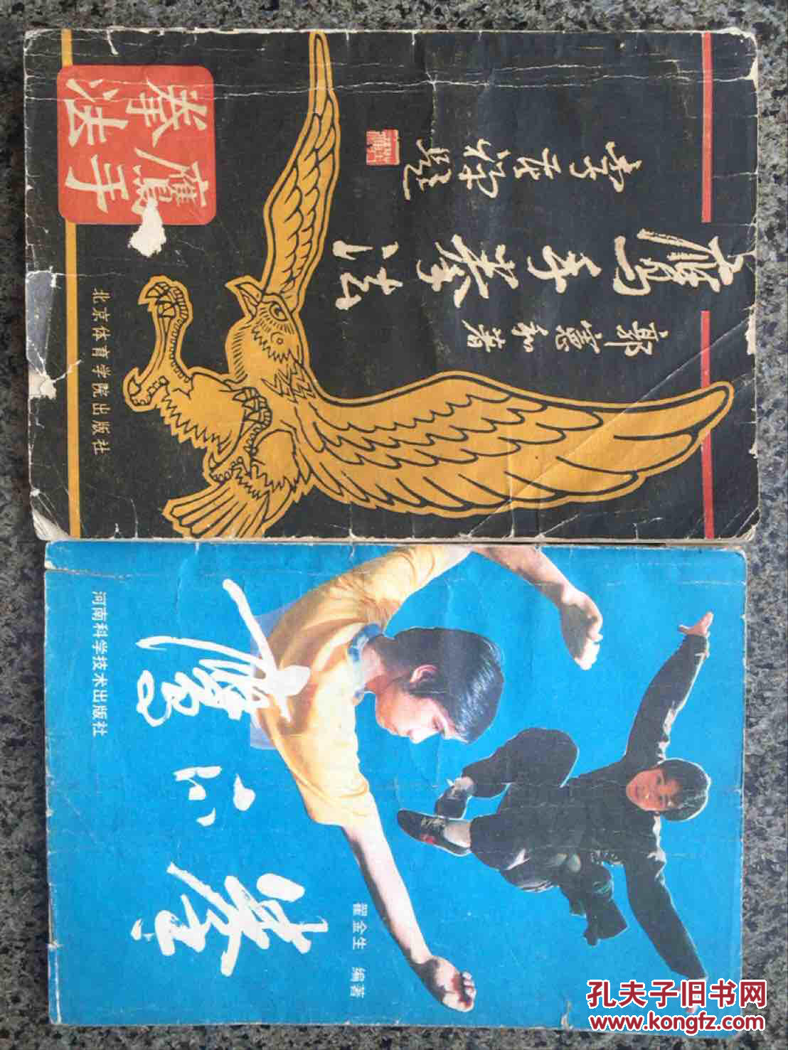 鹰手拳法鹰爪拳