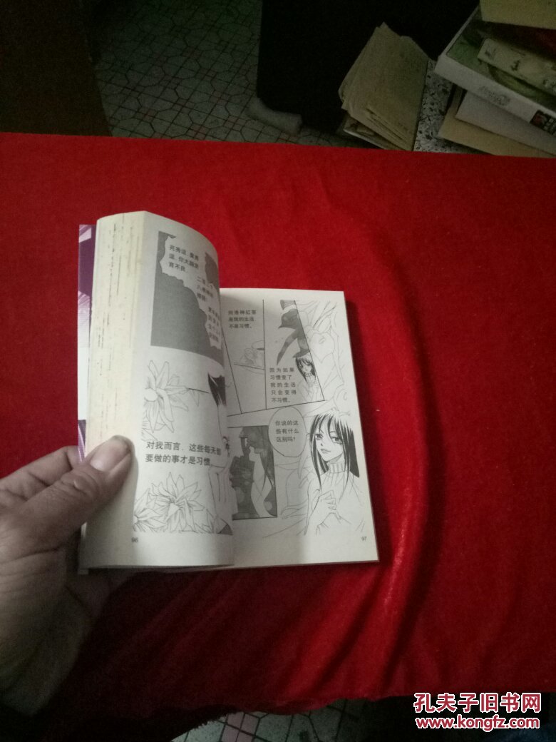 洛神红茶(痞子蔡)漫画书