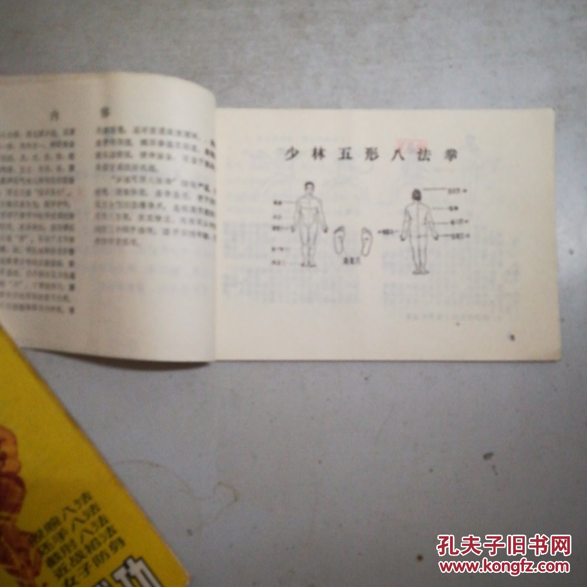 少林五形八法拳(横32开)