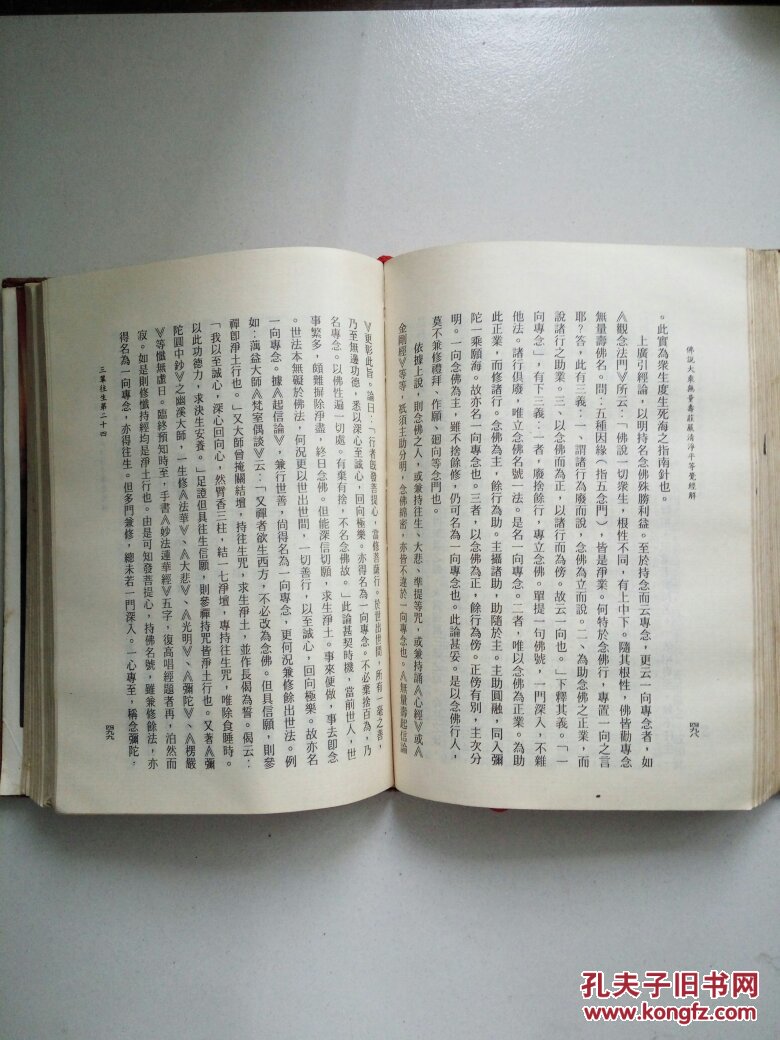 佛说大乘无量寿经(影印本)