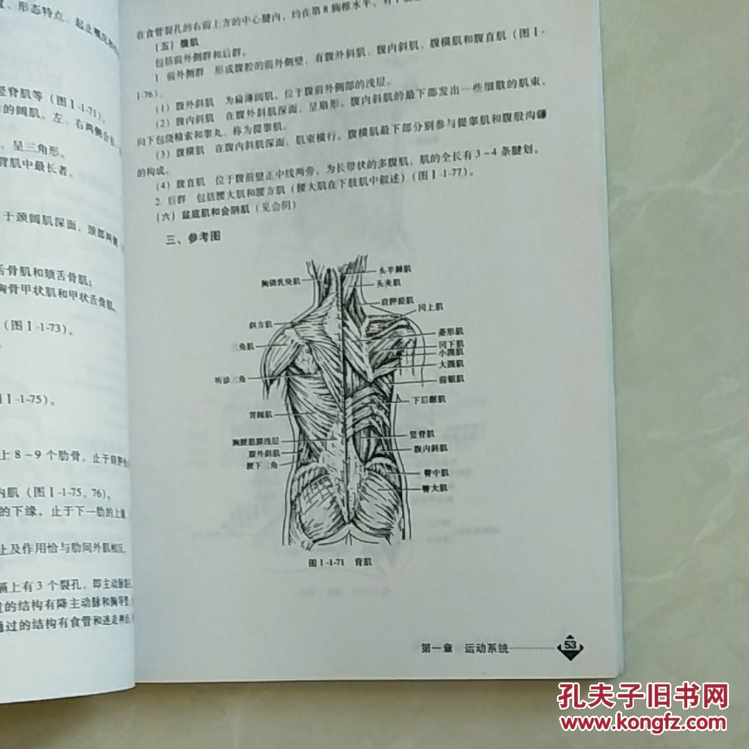 正常人体结构学实验