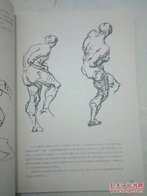 伯里曼人体结构绘画教学