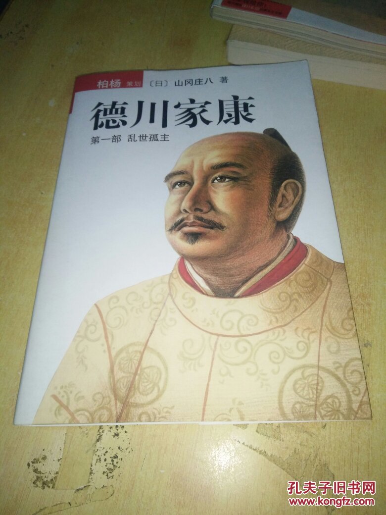 德川家康1乱世孤主