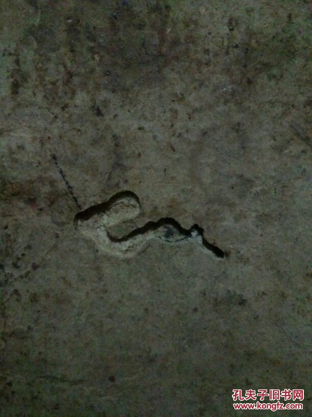 【图】手抄本 康熙五十五岁次丙申四月初八日