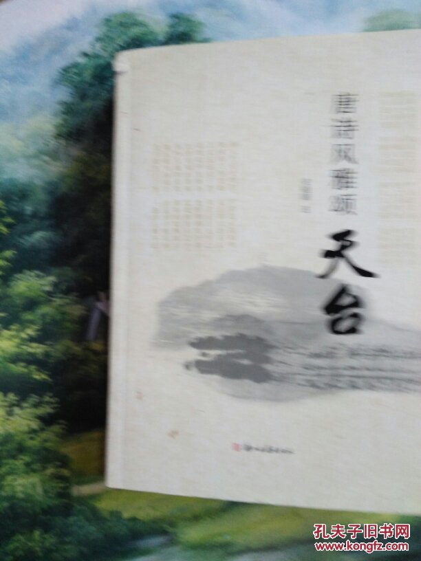 唐诗风雅颂天台(717页)