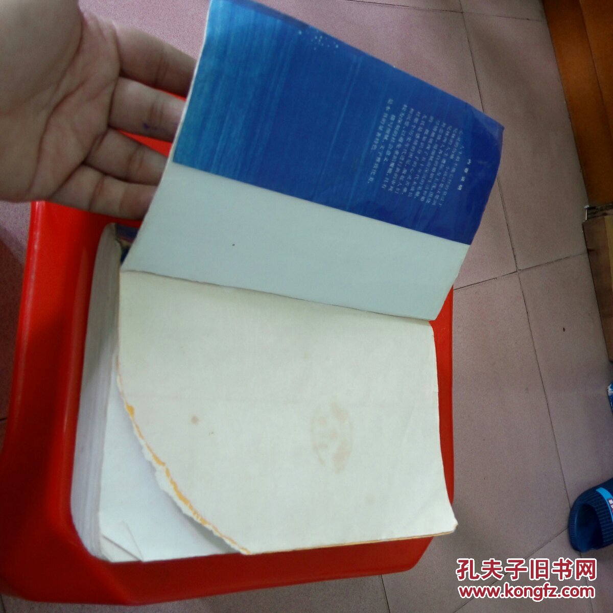 无梦谷(近皮彩纸页有缺角)_叶文玲著_孔夫子旧书网图片