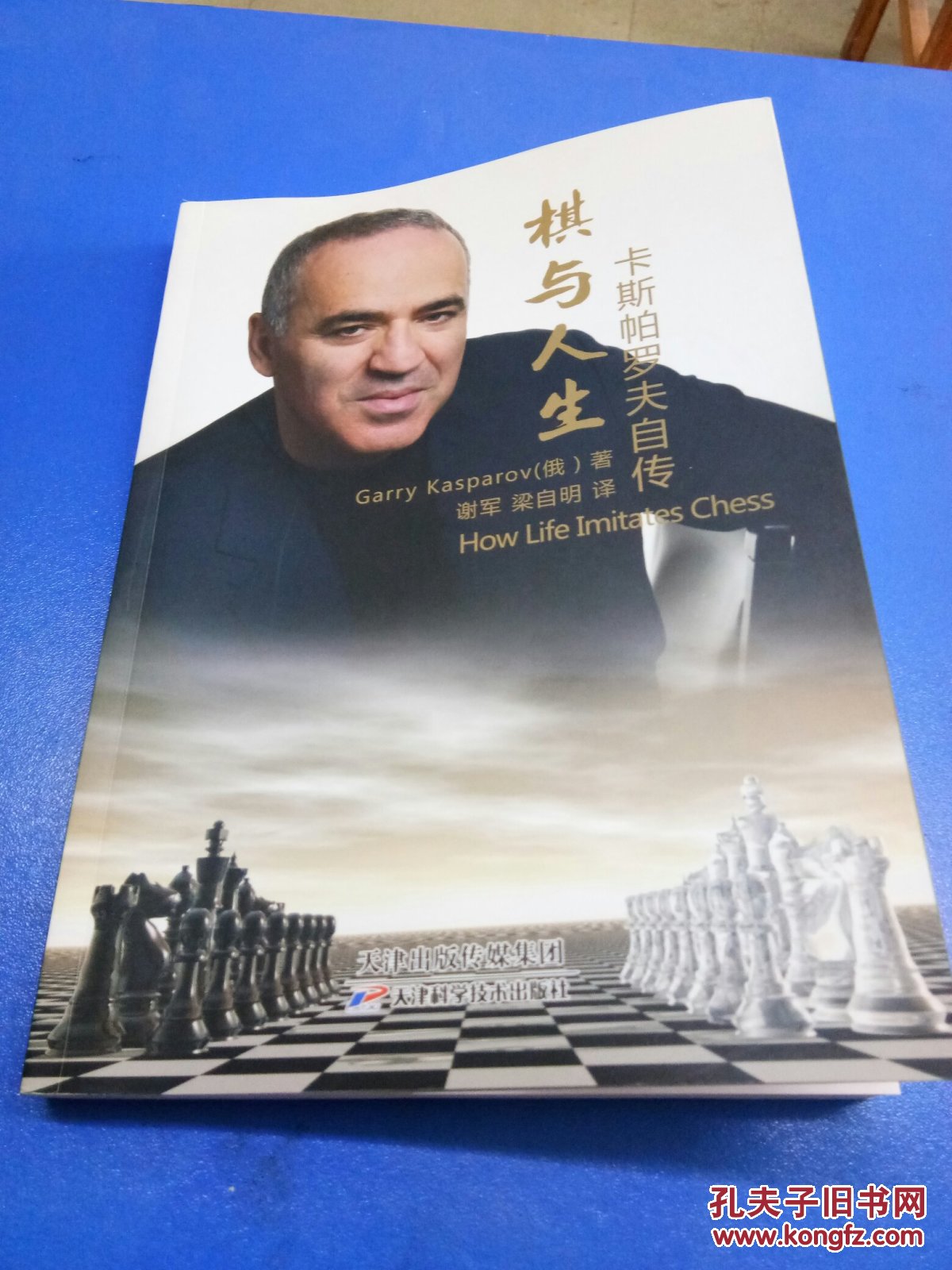 棋与人生,国际象棋大师卡斯帕罗夫自传