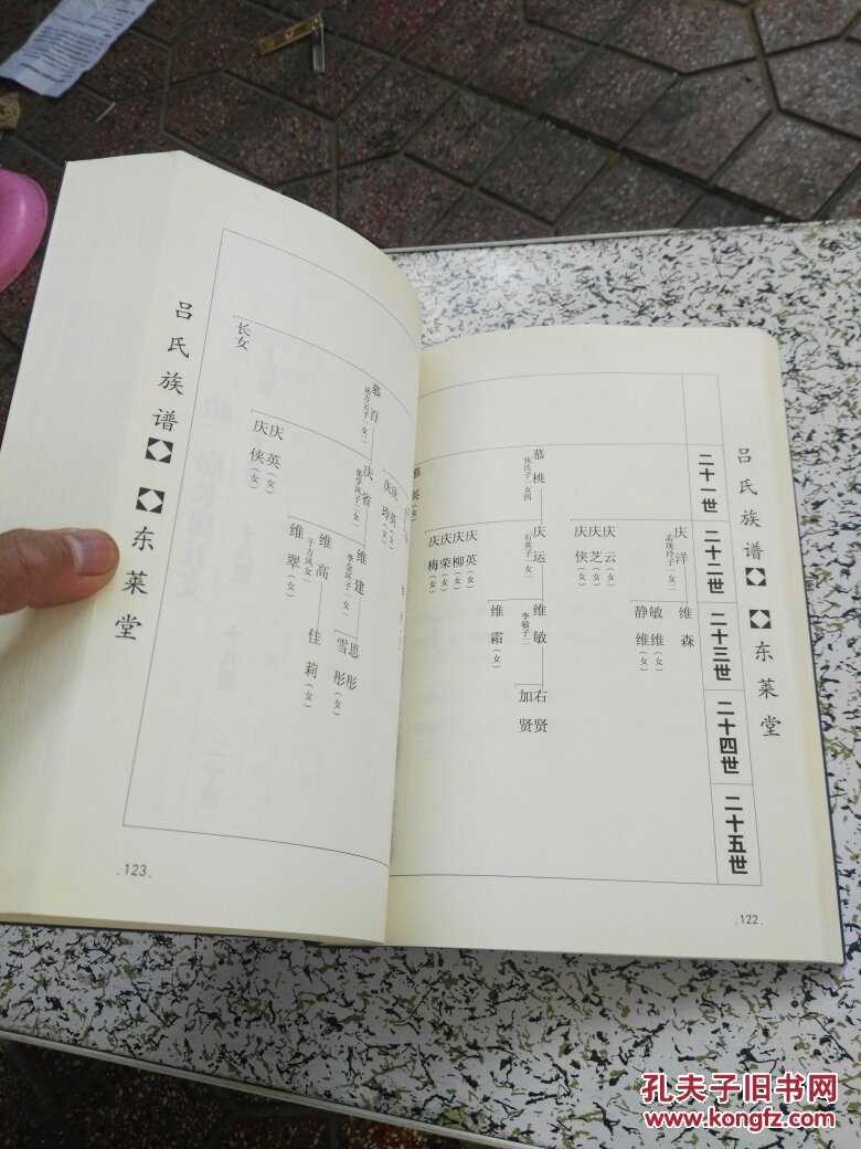 吕氏族谱 东莱堂 吕家村(16开 线装)