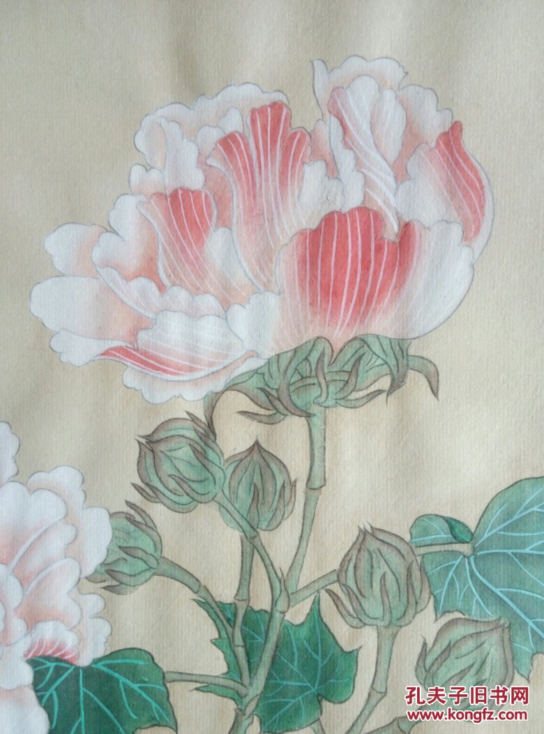 红芙蓉图工笔画