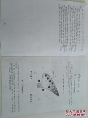陶笛入门初级教学曲谱_陶笛入门曲谱(2)