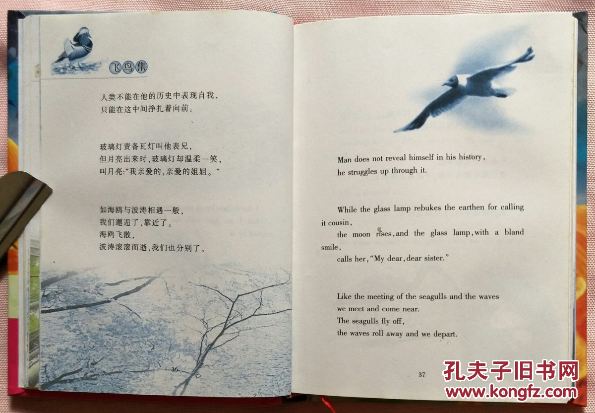 飞鸟集 