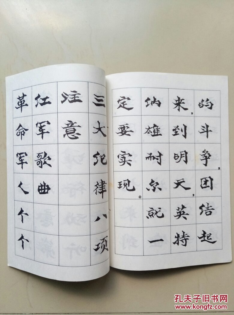 名家段绍嘉文革(仿魏体字帖)