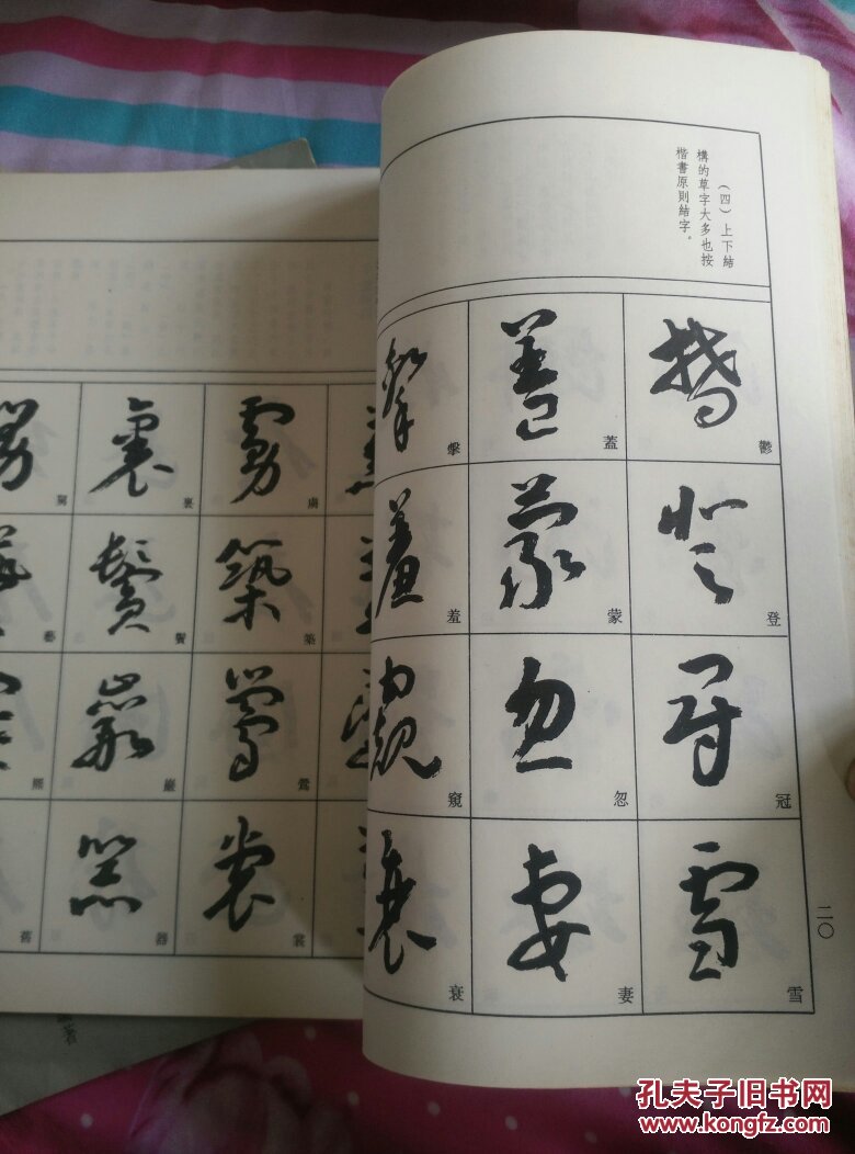 行书基础入门 草书基础入门(书法技法丛书)