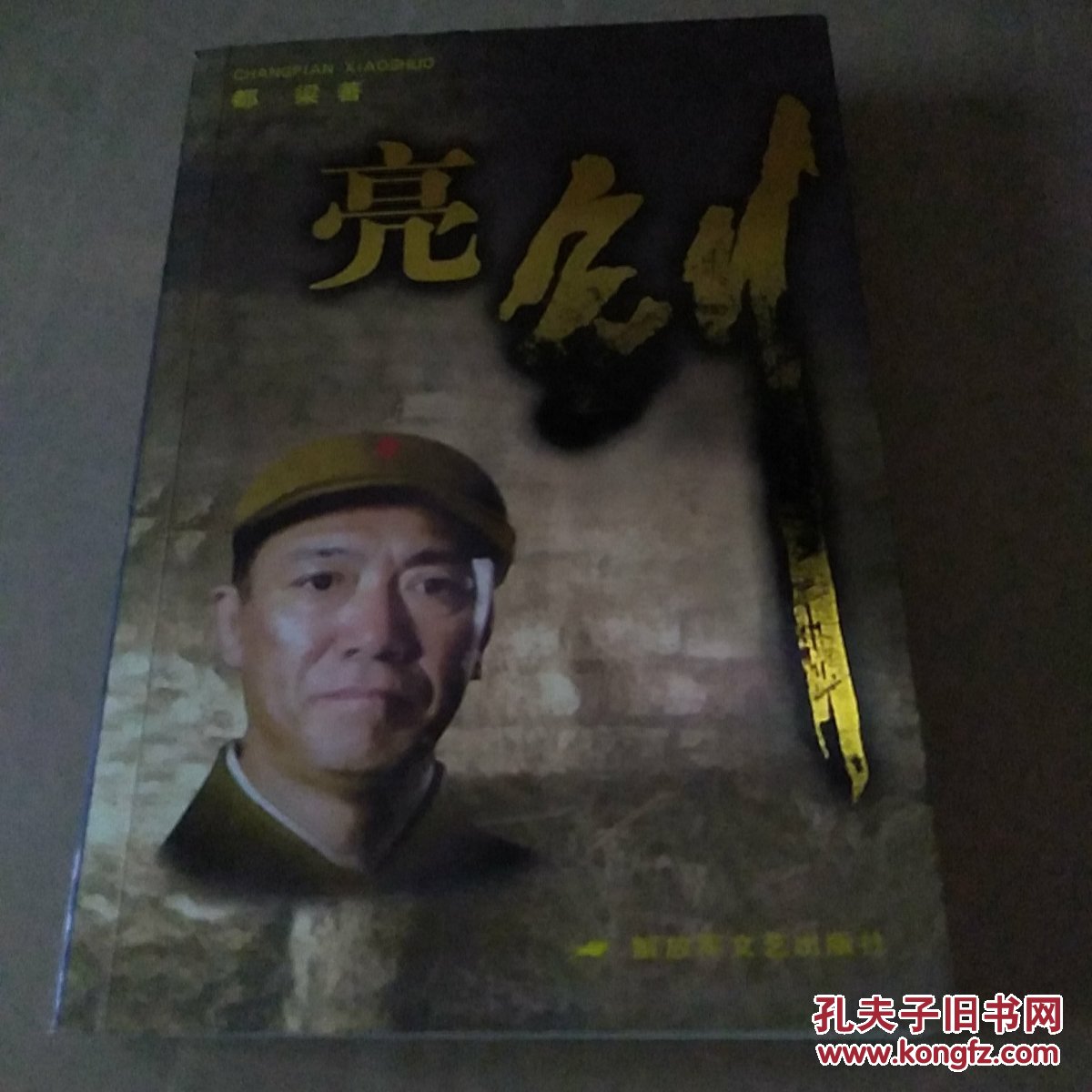 亮剑(都梁 著)_简介_价格_小说书籍_孔网