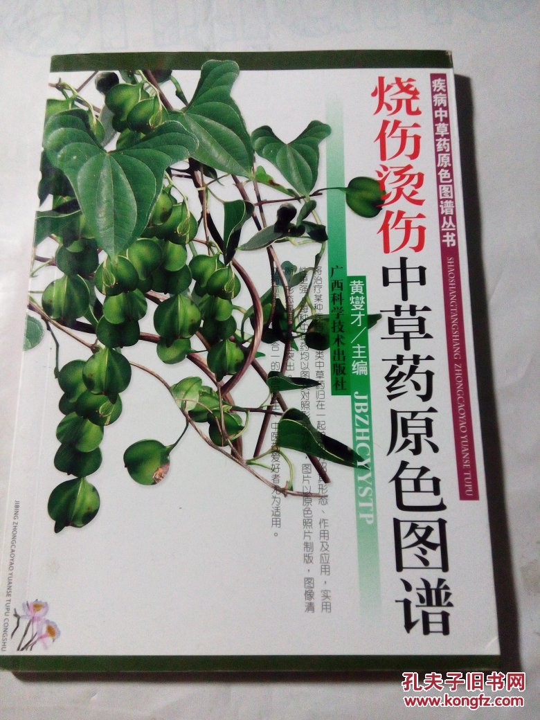 烧伤烫伤中草药原色图谱
