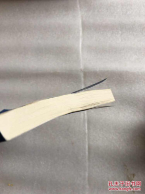 上市公司审计失败之案例解析( 正版 现货 全新