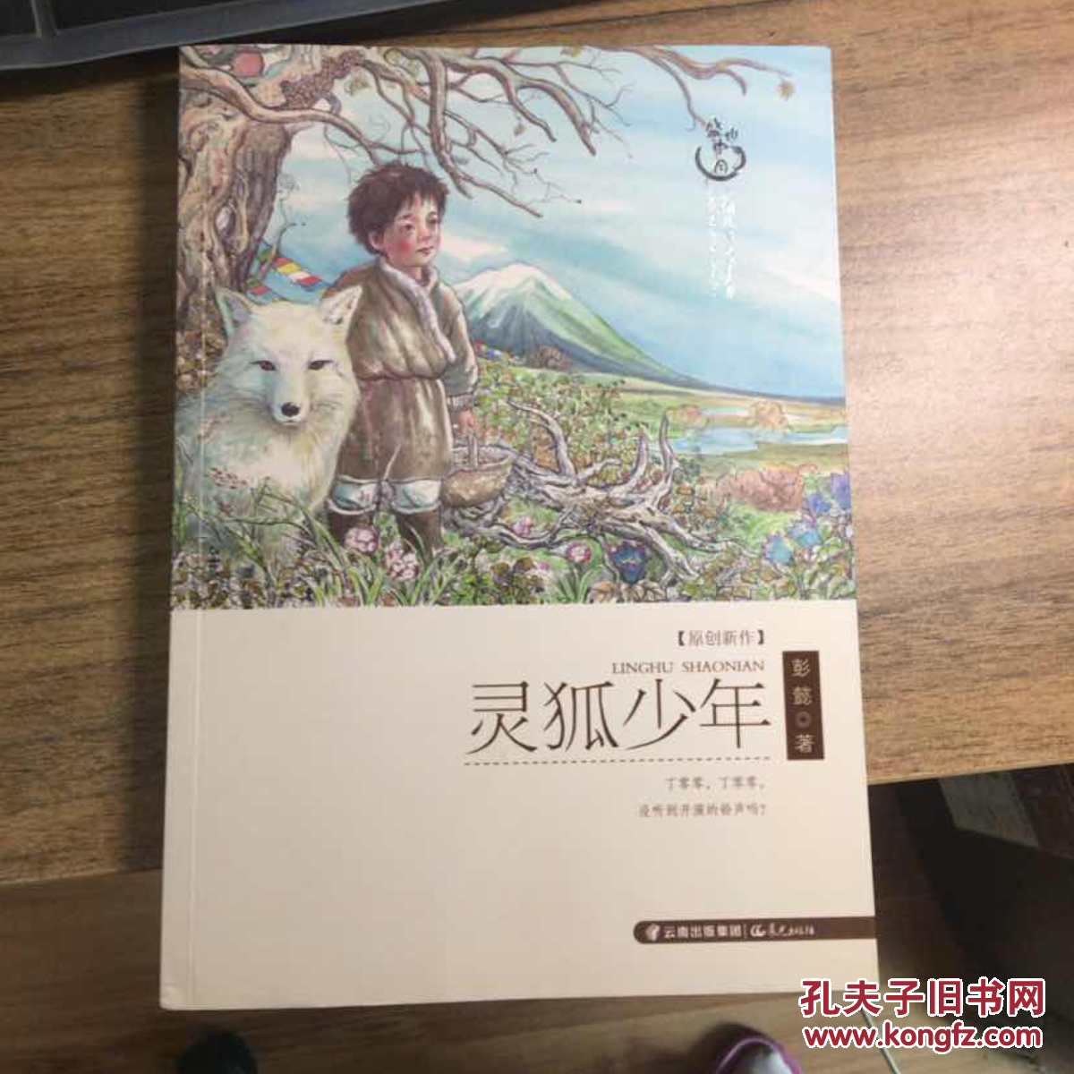 灵狐少年