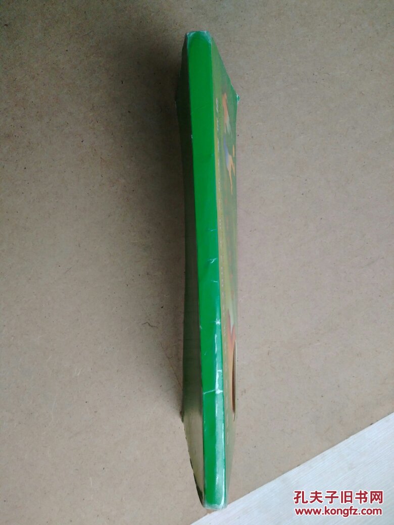 【图】为中国足球喝彩(中国队获2002年世界杯