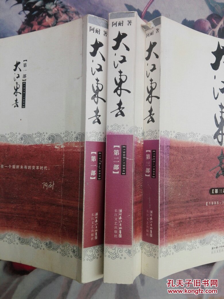 大江东去(共三部)书品如图,避免争议.全三部_阿耐 著