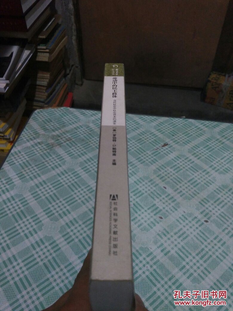 【图】流动中的民主政体 : 当代社会中社会资本