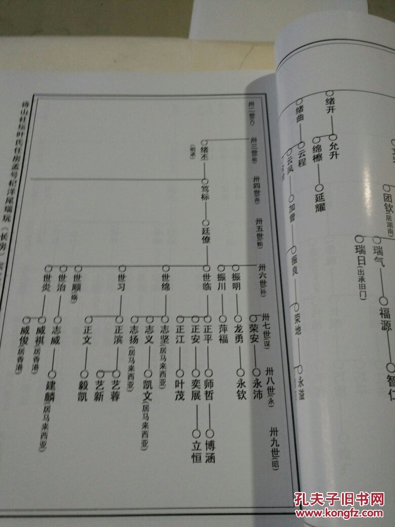 泉南凌云诗山 叶氏社坛族谱 任房三卷(孟号)(29号)