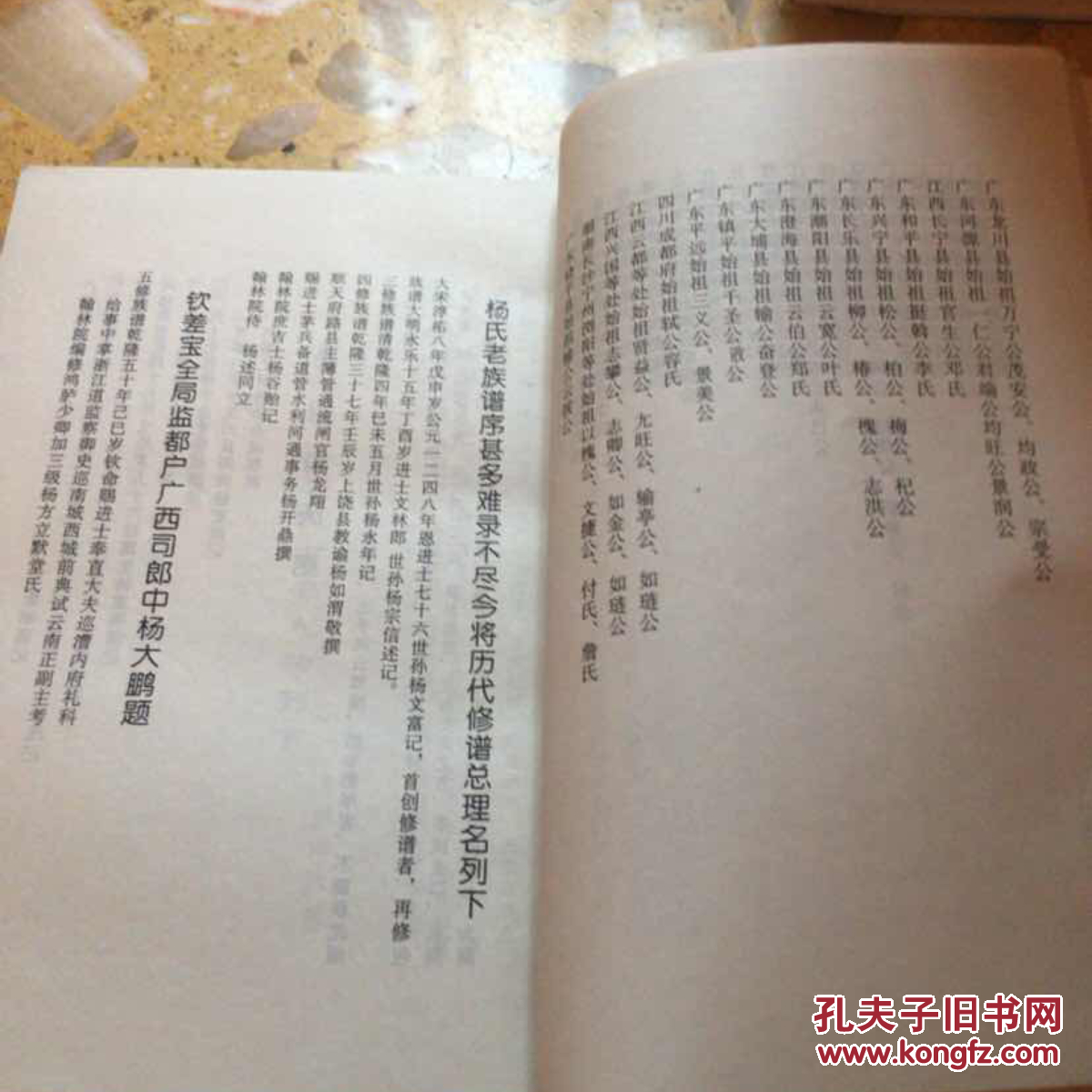 杨氏族谱