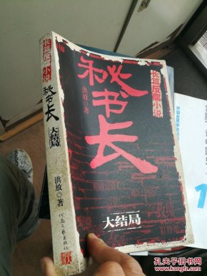 《秘书长·大结局》 洪放 书评 简介 电子书下载