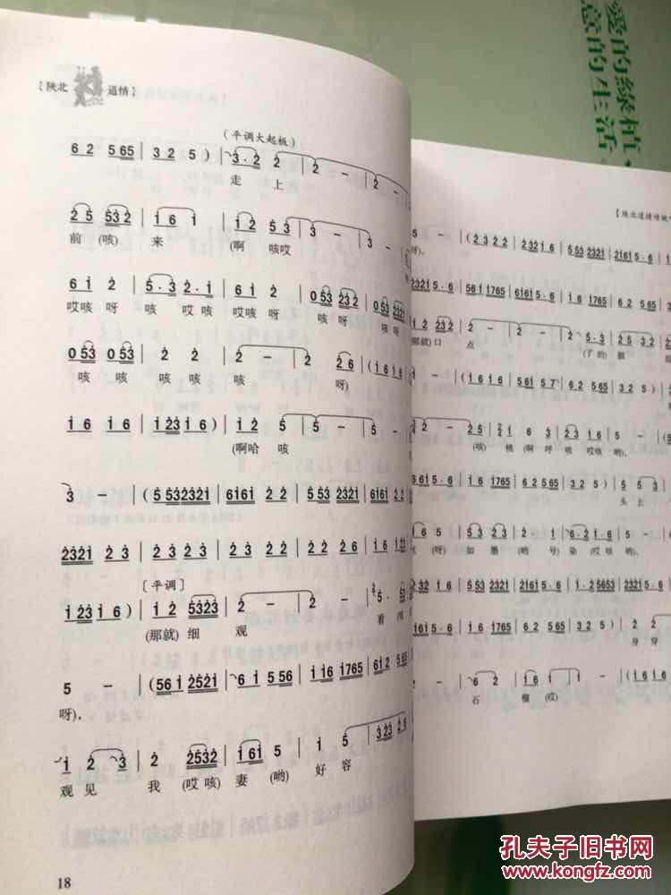 陕北道情