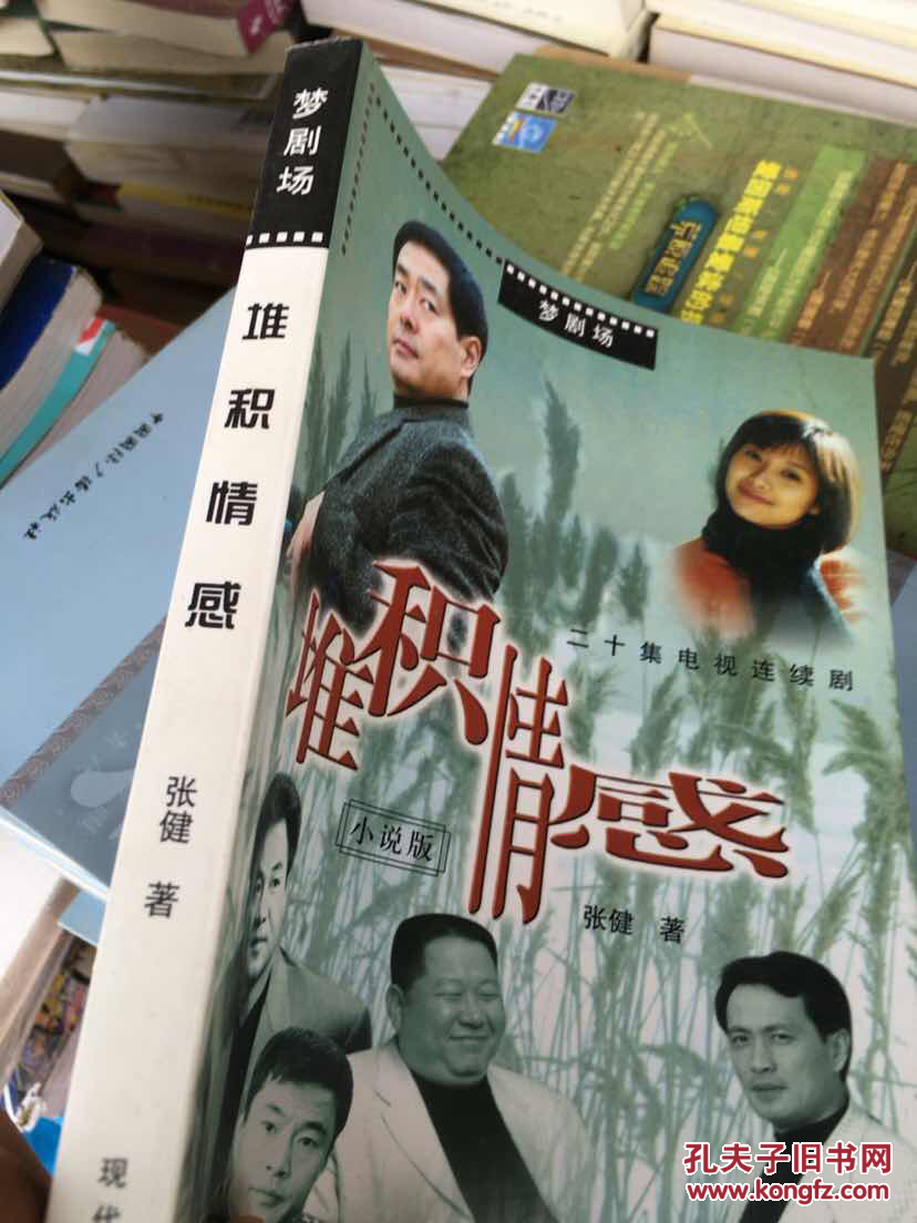 堆积情感:二十集电视连续剧小说版