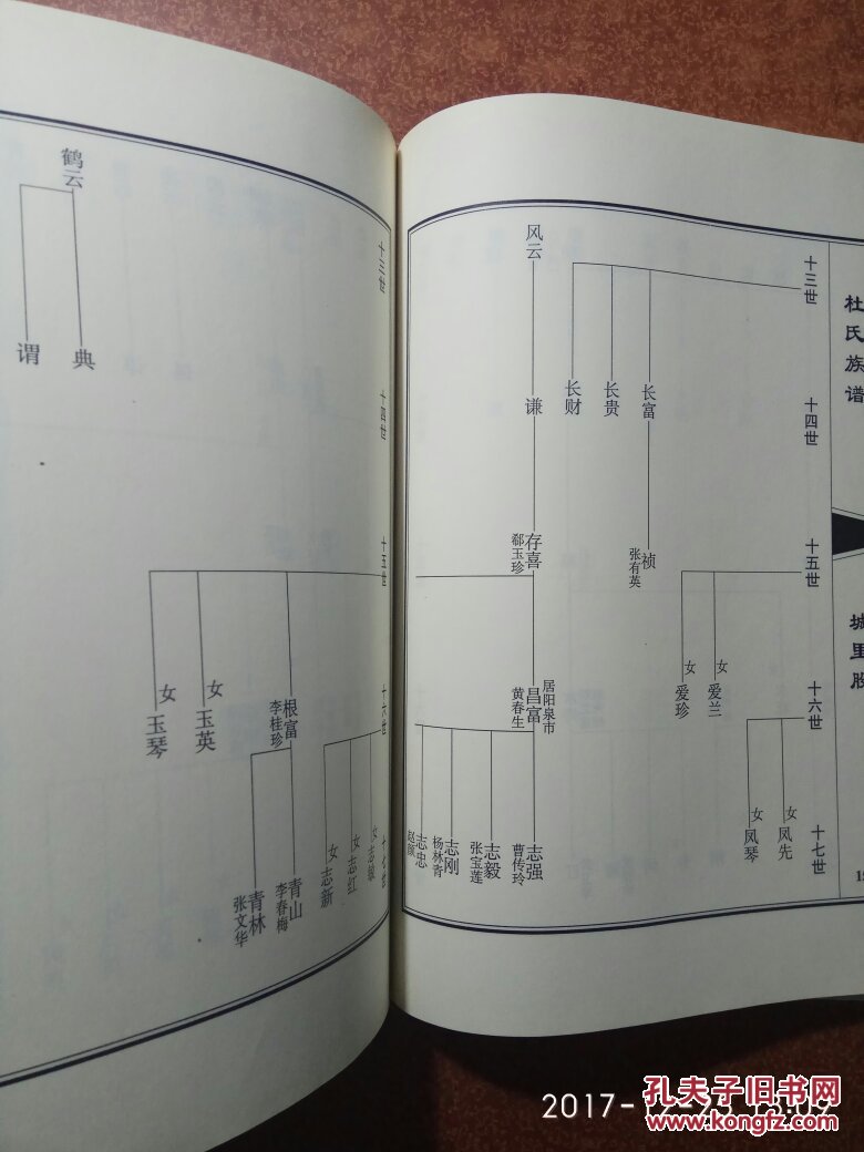 山西平定 杜氏族谱 印量360册