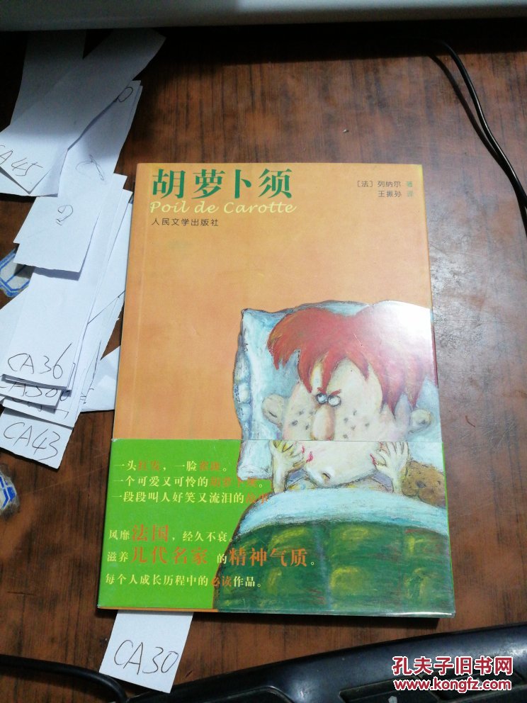 胡萝卜须