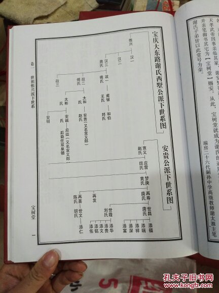 【图】谢氏族谱一本_无