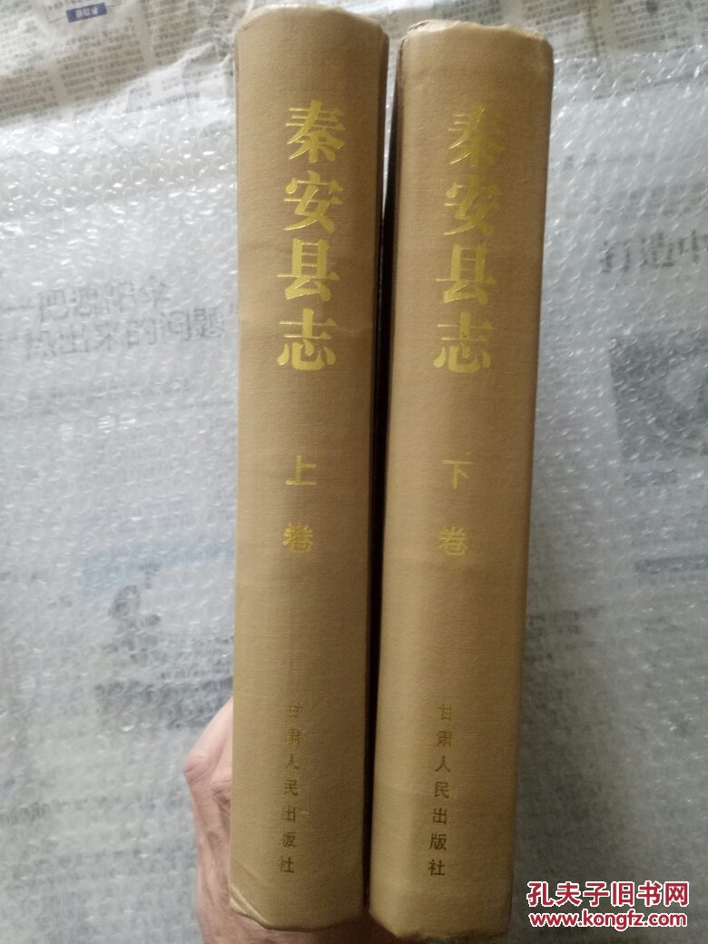 秦安县志