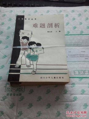 小学数学丛书(难题剖析、几何图形、数的概念