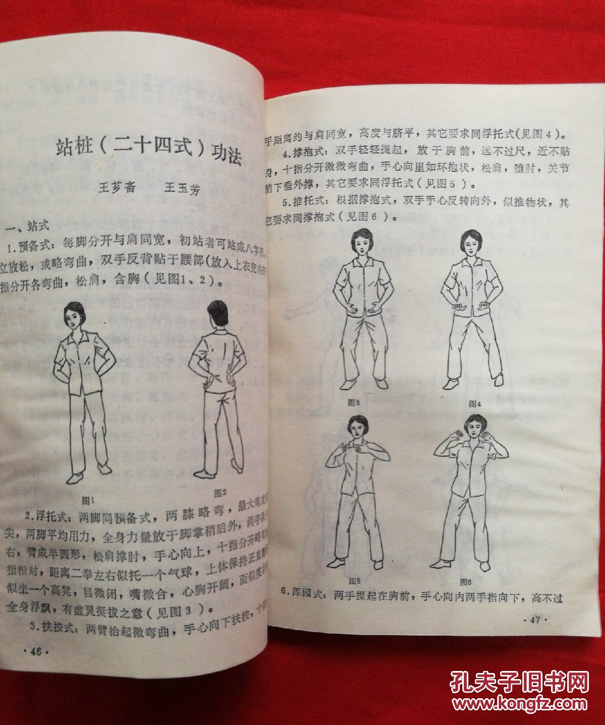 王芗斋站桩功(一代宗师王芗斋先生之女王玉芳编著)