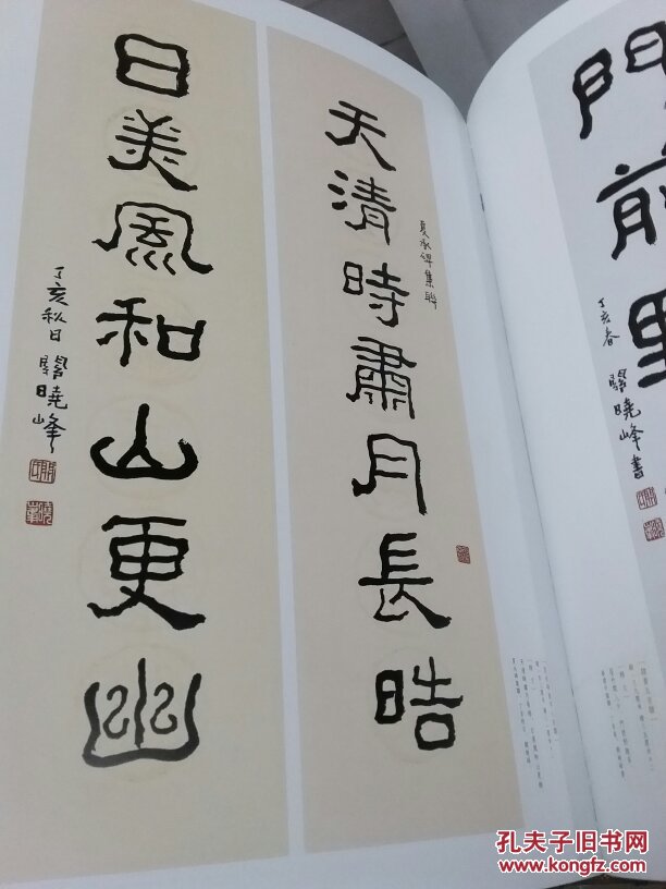 关晓峰作品集 广州书法名家作品集系列