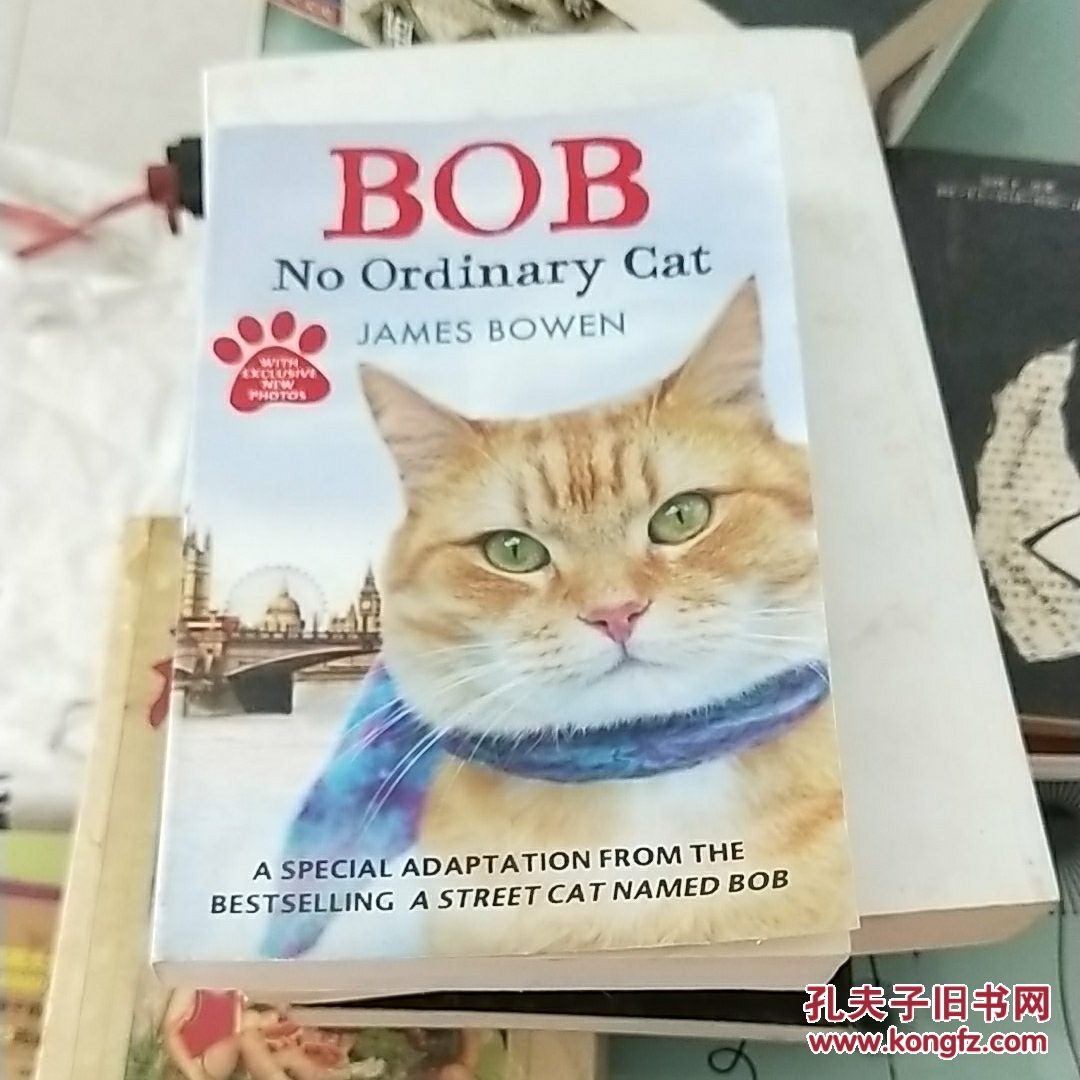 bob: no ordinary cat