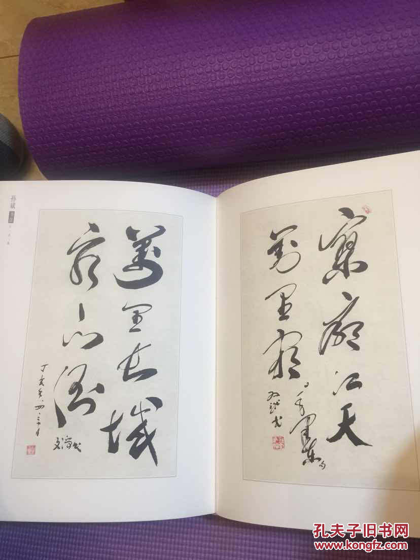 孙斌书法
