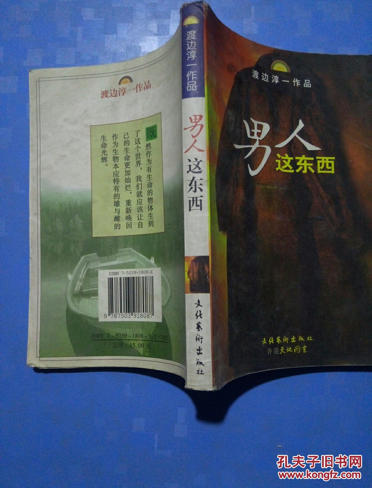 男人这东西:渡边淳一作品