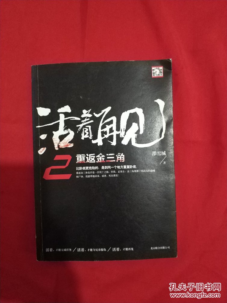 活着再见2重返金三角