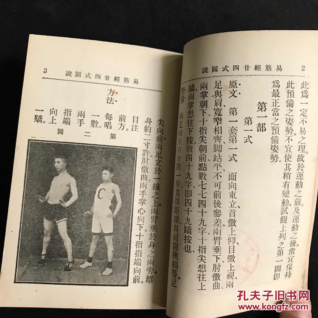 品佳1631 