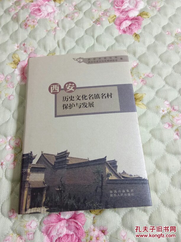 西安历史文化名镇名村保护与发展