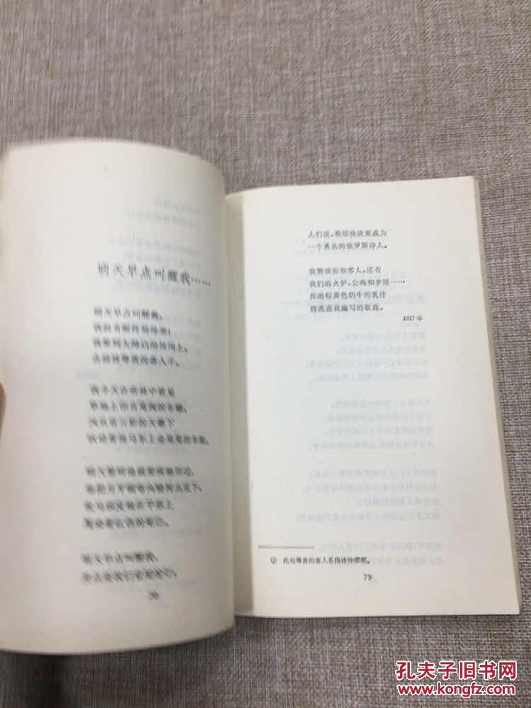叶赛宁抒情诗选
