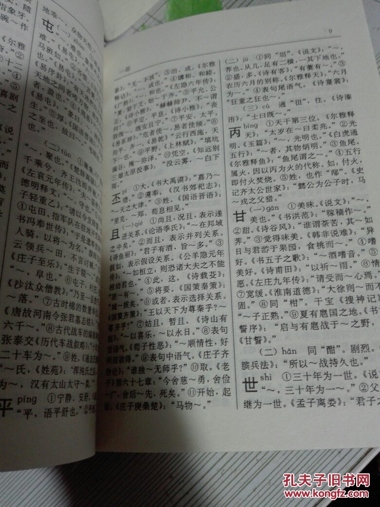 新编古汉语字典 廉源 754372541x 延边教育出版社