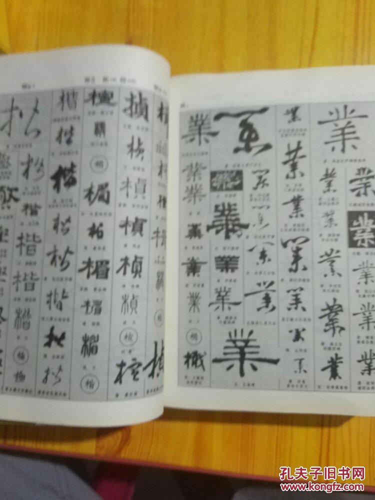 新编中国书法大字典(上下册)_吴澄渊 主编_孔夫子旧书