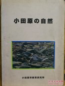 日文原版 大32开本 小田原の自然
