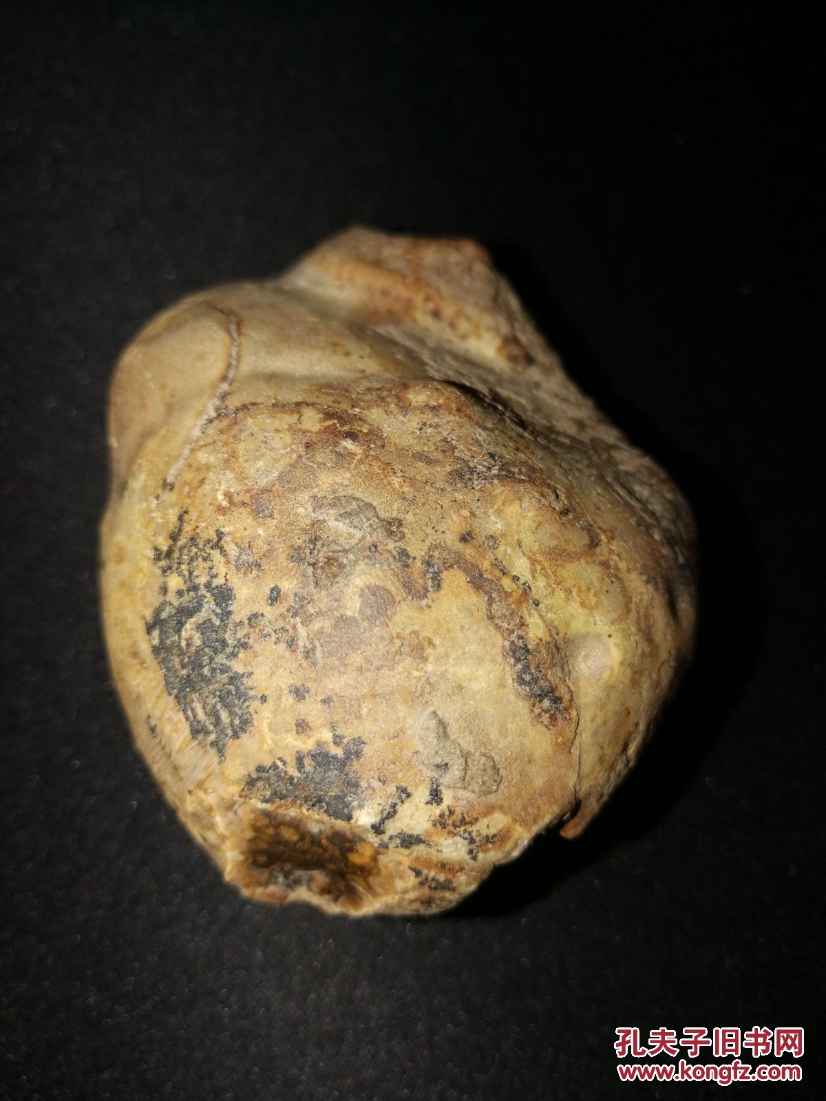 一块280克重的圆形巨大蒙天珠原石阿拉善天眼石