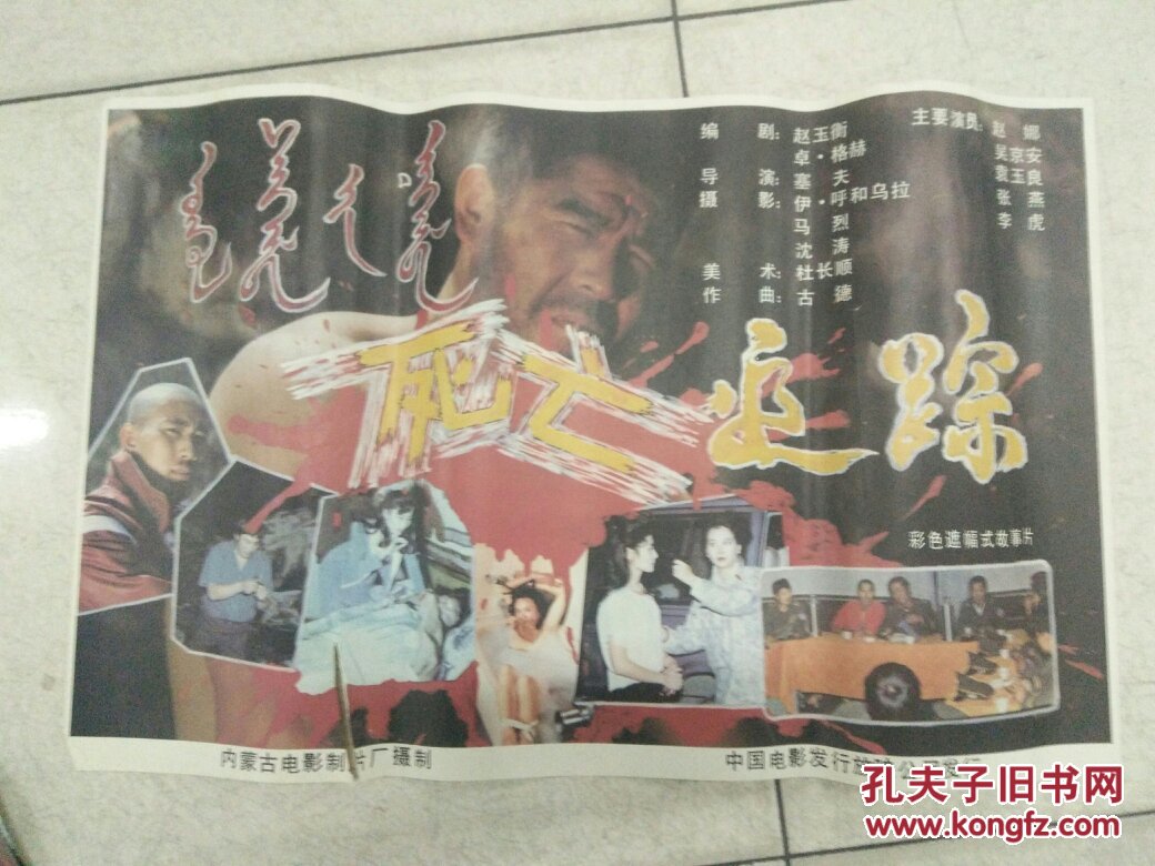 电影海报2开(死亡追踪)