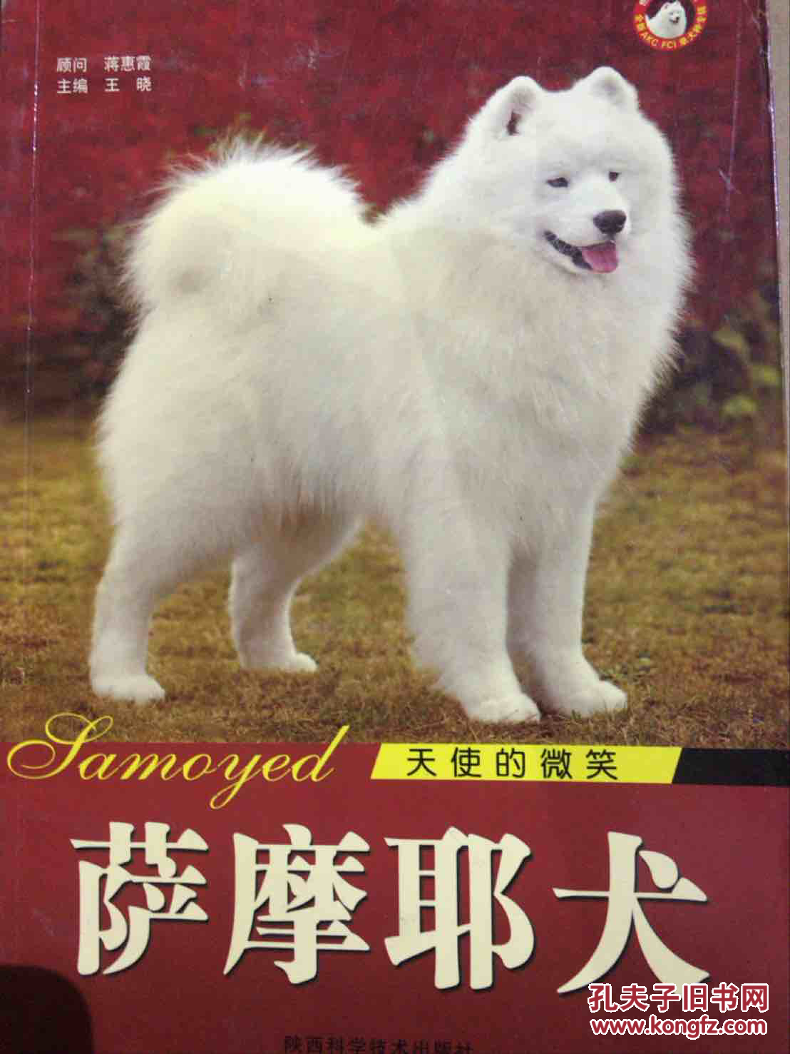 世界名犬系列·天使的微笑:萨摩耶犬